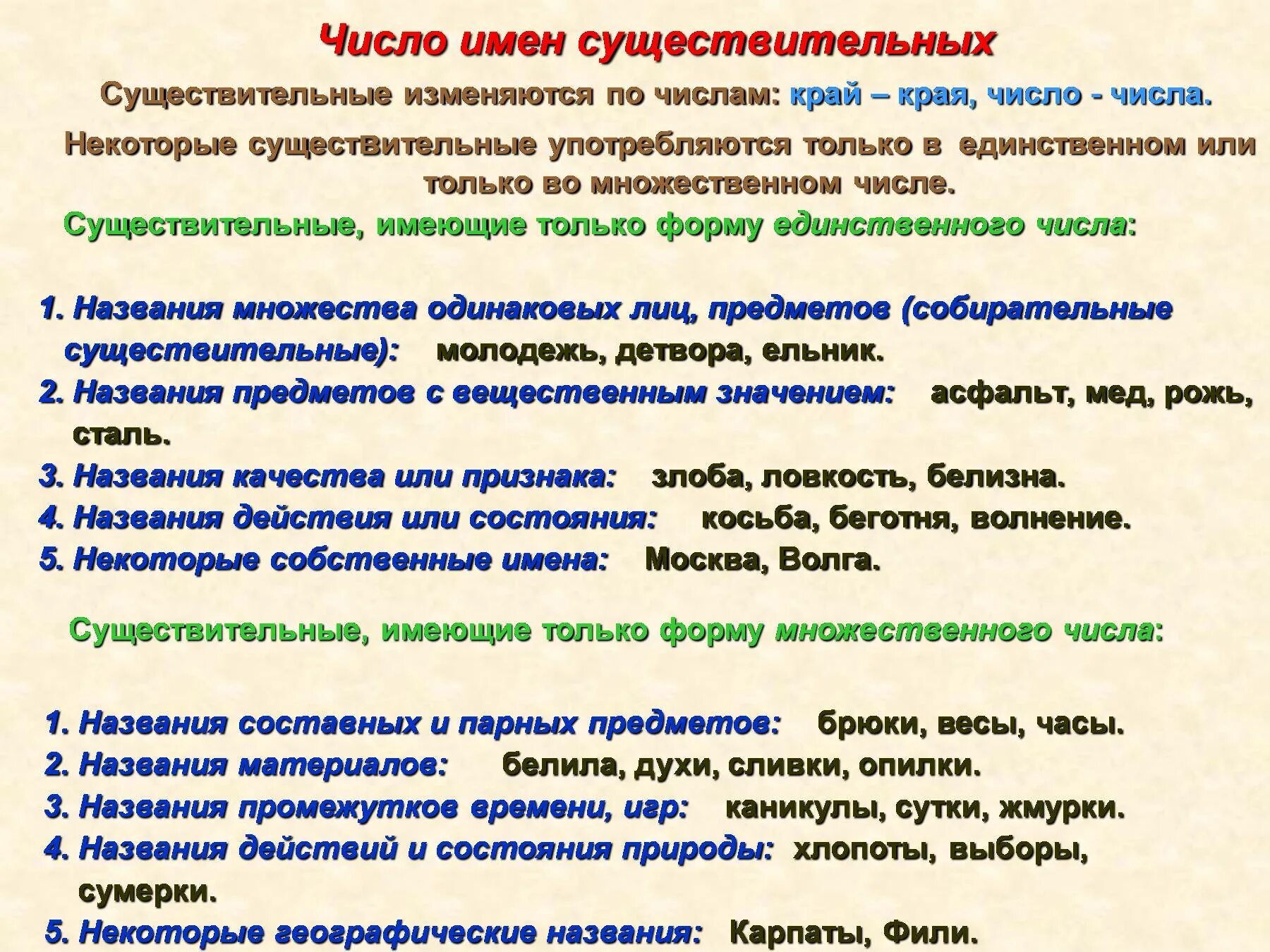 Человек имеет форму множественного числа. Число имен существительных. Число имен существительных 10 класс. Чимслоимен существительных. Чмслр имён существительных.