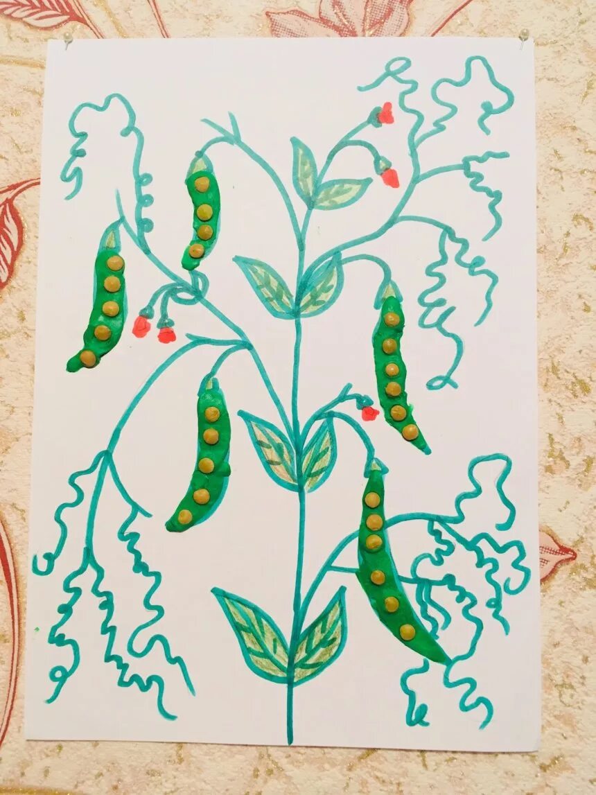 Пятеро из одного стручка рисунок. Пятеро в одном стручке иллюстрации. Х. Пятеро из одного стручка рисунок. Ханс кристиан андерсен пятеро из 1 стручка.