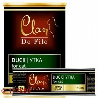 Clan de file