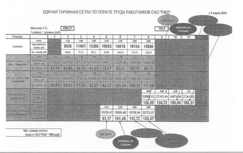 Тарифная сетка 2024