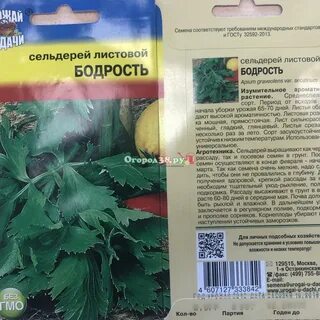 Сельдерей бодрость листовой
