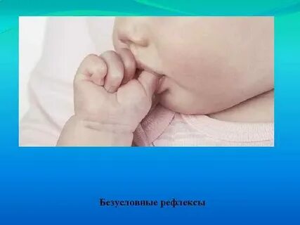 Рефлекс живого