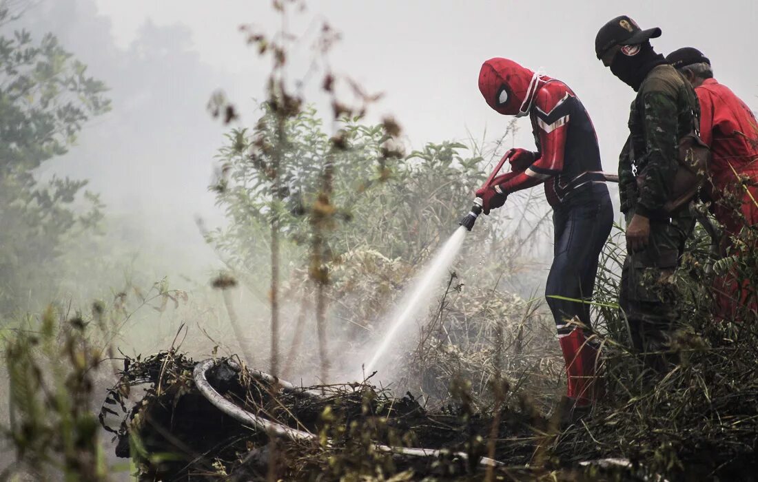 Классификация торфяных пожаров. Тушение торфяных пожаров. Тушение подземного торфяного пожара. Тушение торфа. Тушение лесных и торфяных пожаров.