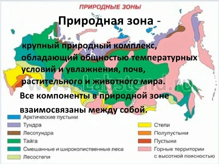 Природные зоны. Карта природных зон. Карта природных зон России. Название природных зон. Какие зоны есть в классе