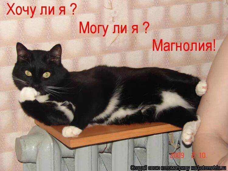 Чего хочешь от работы. Позитивные картинки со смыслом. Картинки делай то что хочется. Хочу ли могу я магнолия я. Шутки про зарплату и работу.