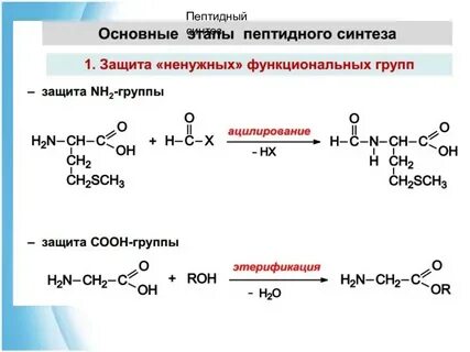 Синтез пептидов
