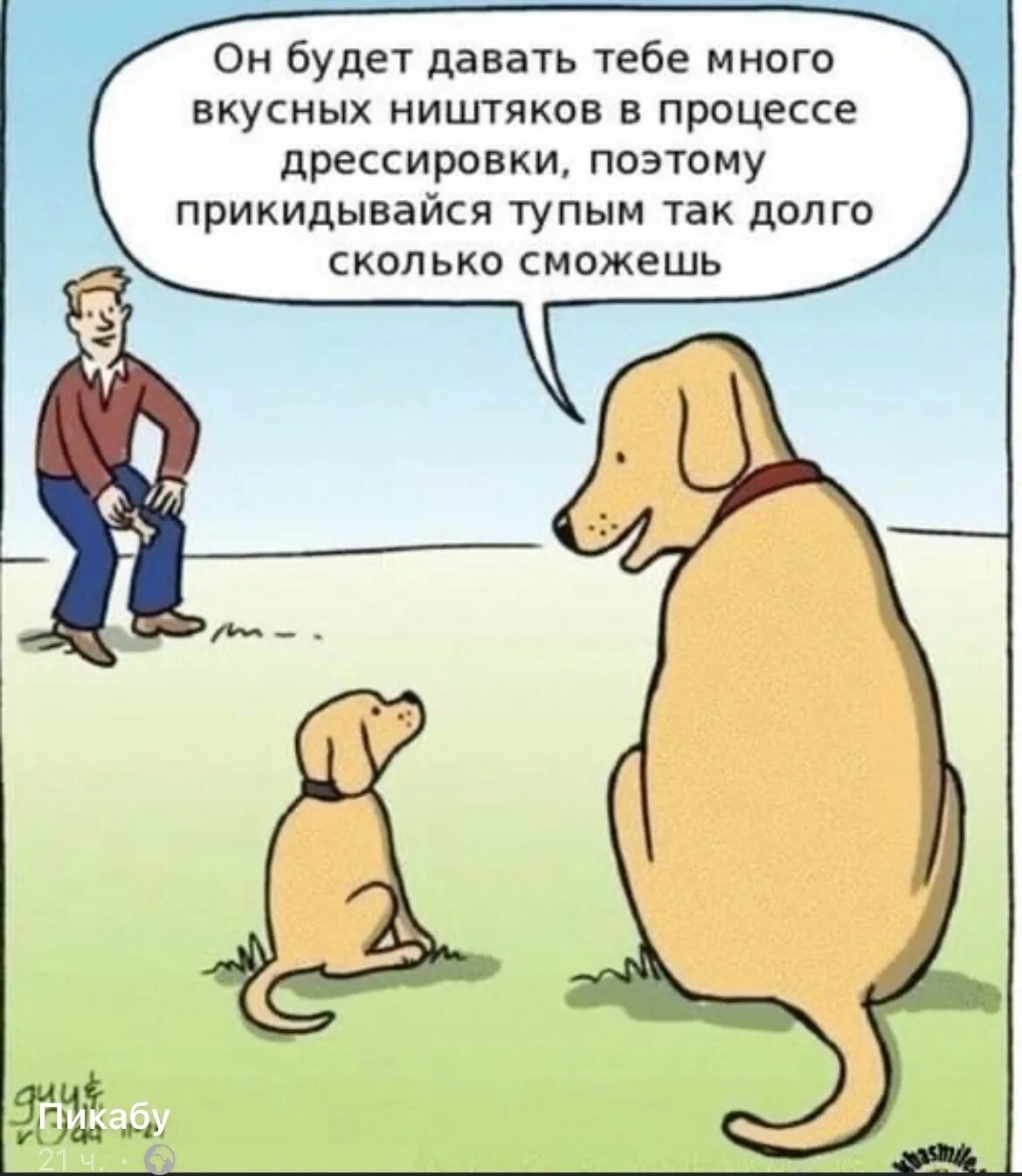День вежливости. Ешь давай. Ищите и найдете стучите и отворят. Просите и дано будет вам. Будете давать.