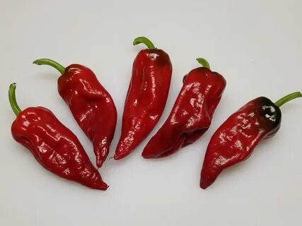Buy pepper