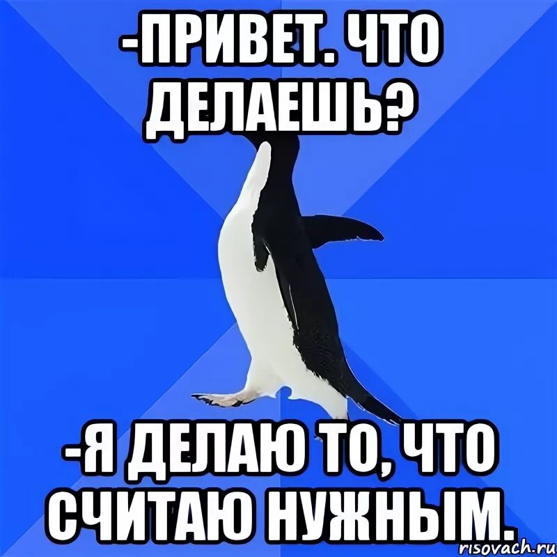 Привет что делаешь. Я делаю то что считаю нужным. Делай так как считаешь нужным. Делай так КПК считаешь нужным..