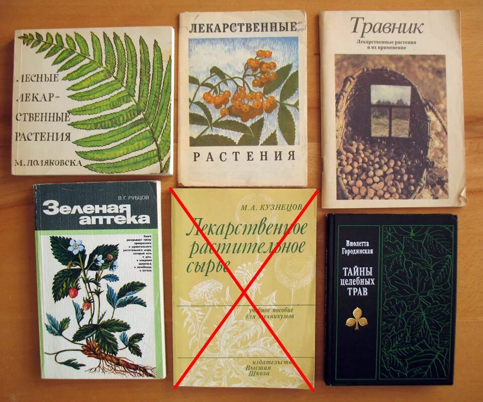 Книги про травы. Книги о растениях. Книга лекарственные травы. Книги о лекарственных травах. Обложка лекарственные травы.