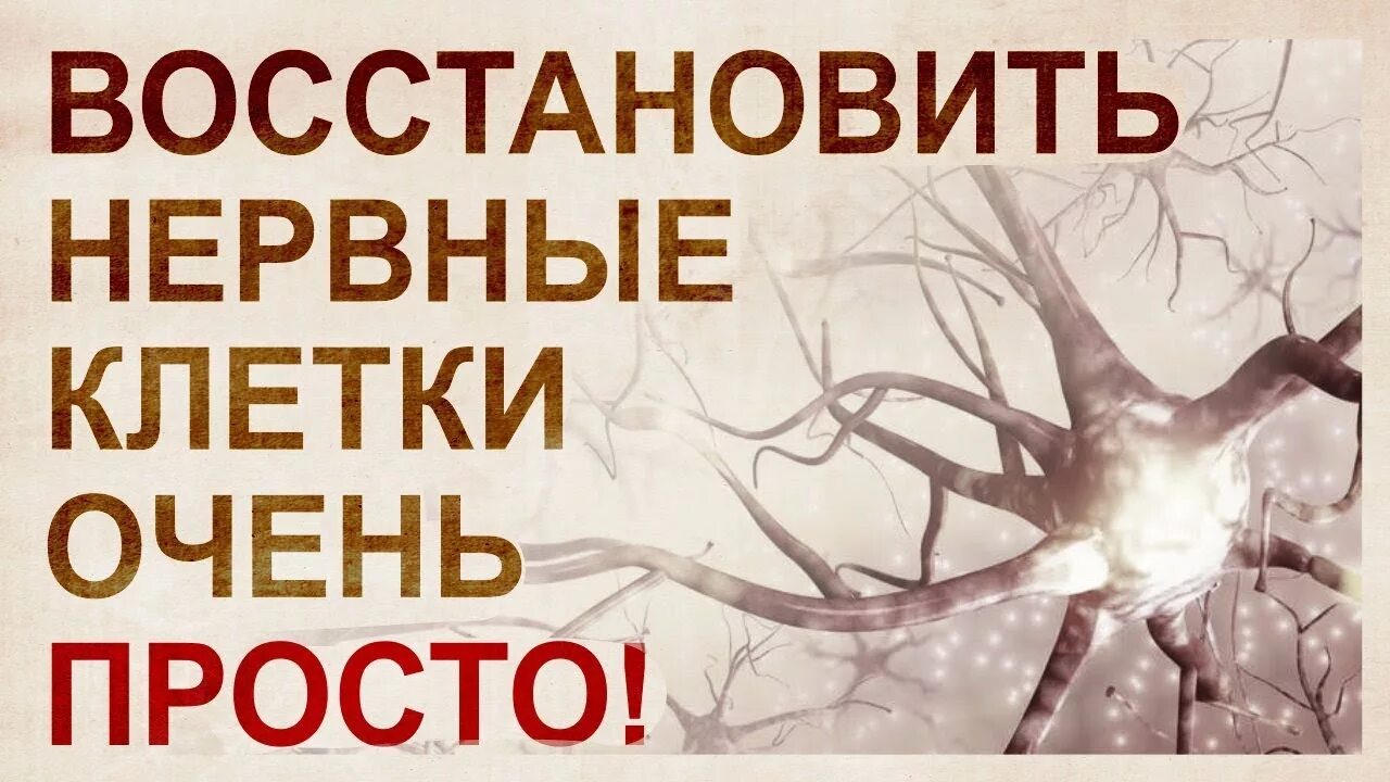 Что может быть нервным