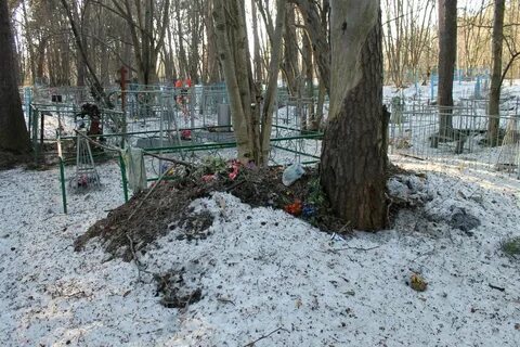 Они на кладбище