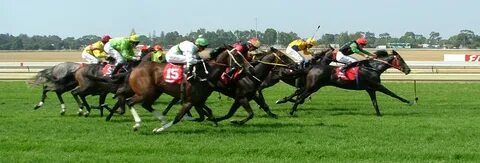 Horse race betting