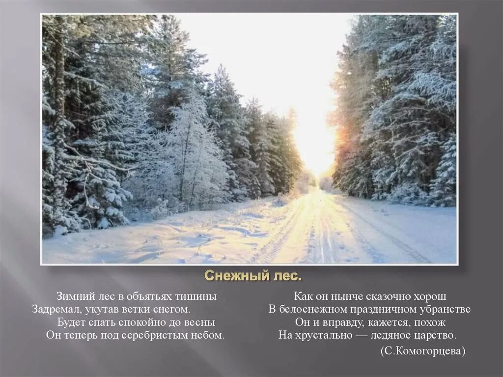Проект 1 класс на тему тишина в лесу. Стих про тишину короткие. Стихи про тишину природы. Пастернак стихи о природе. В брянском лесу стих.