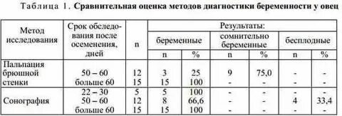 Сколько длится период беременности