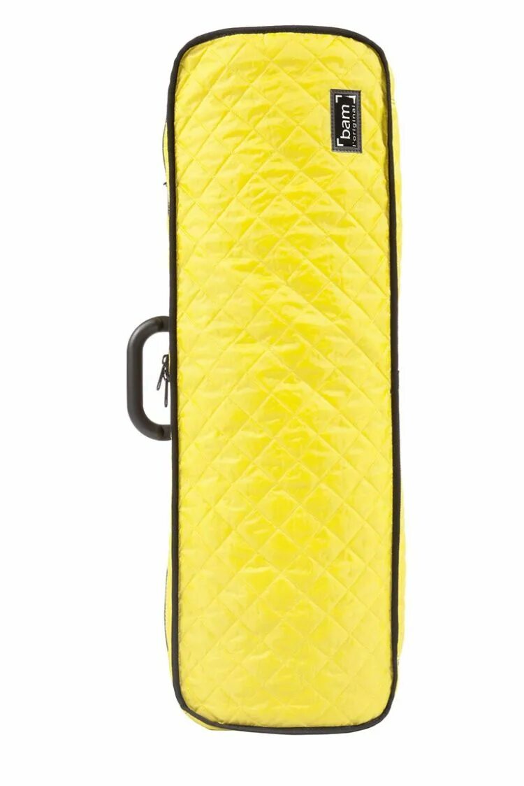 Ho cases
