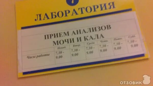До которого часа принимают