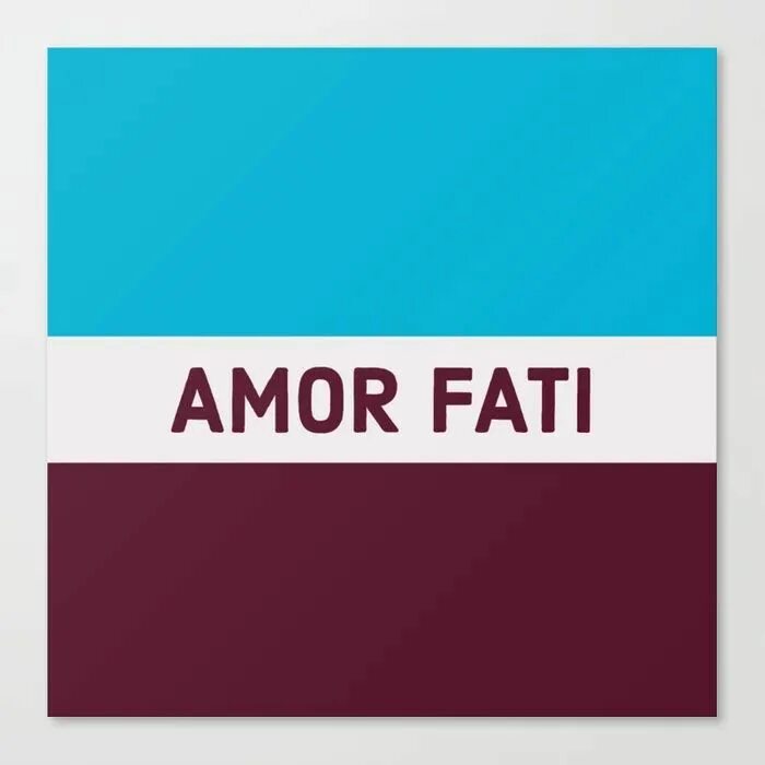 Амор фати. Amor fati перевод с английского. Амор фати ницше. Амор фати. Амор фати.
