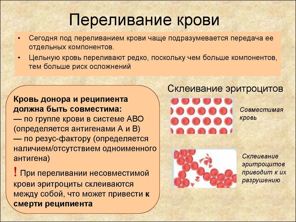 Почему нравится кровь. Переживание крови кратко. При переливании крови необходимо. Группы крови и переливание крови кратко.