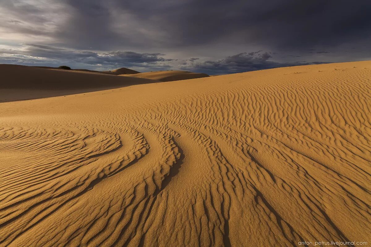 Гоби это пустыня. Пески пустыни Гоби. Монголия Гоби. Гоби пустыня Бархан. Пустыня в Монголии.