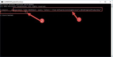 Wmic path