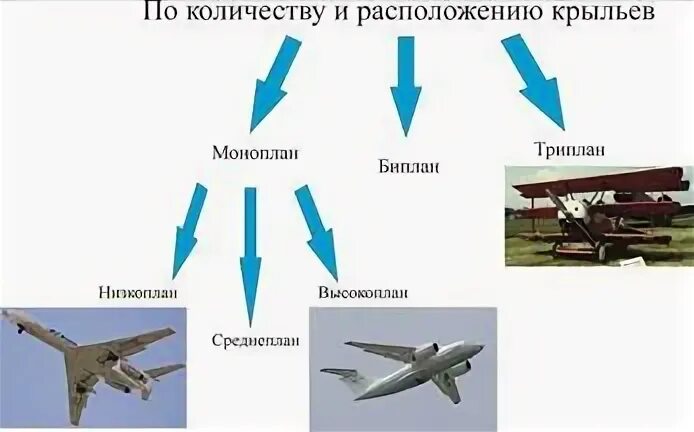 Количество крыльев