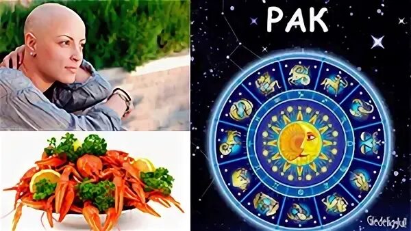 English raqam. Pfr pflbzuf. Cancer перевод. рак перевод. рак перевод.