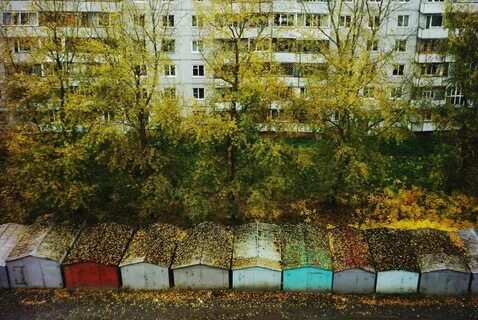 Литература двор