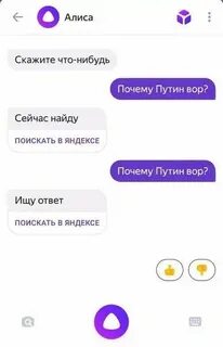 Алиса не надо понимать
