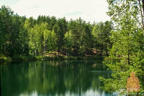 Озеро светлое нижегородская область