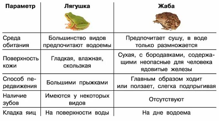 Обоснуйте на каком основании различных животных