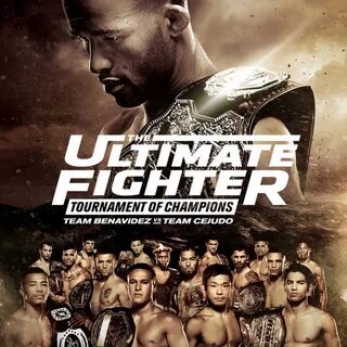 Fight 24