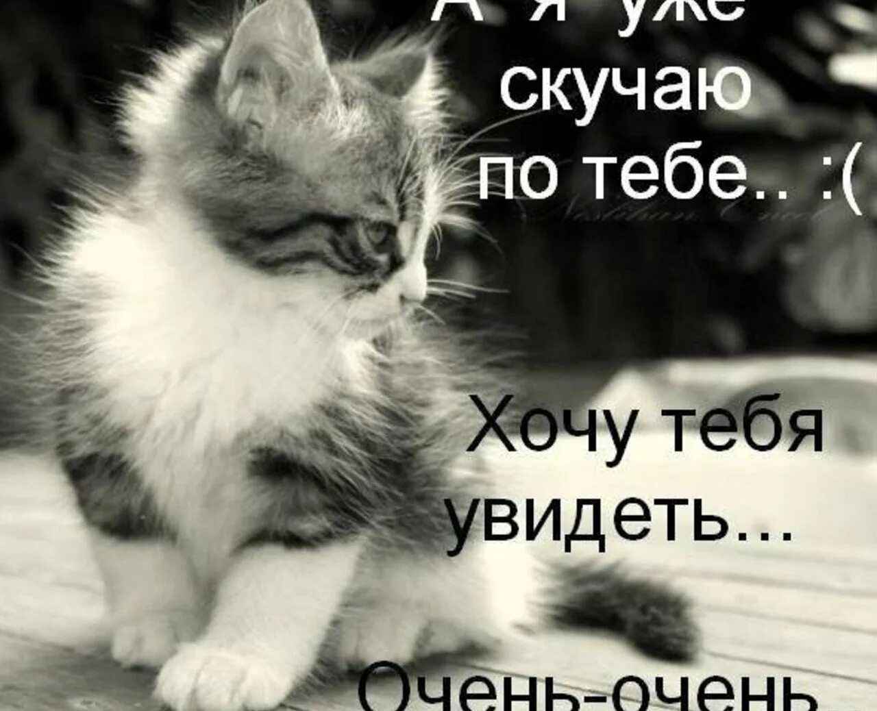 На этом месте растёт текст, но он ещё не созрел.