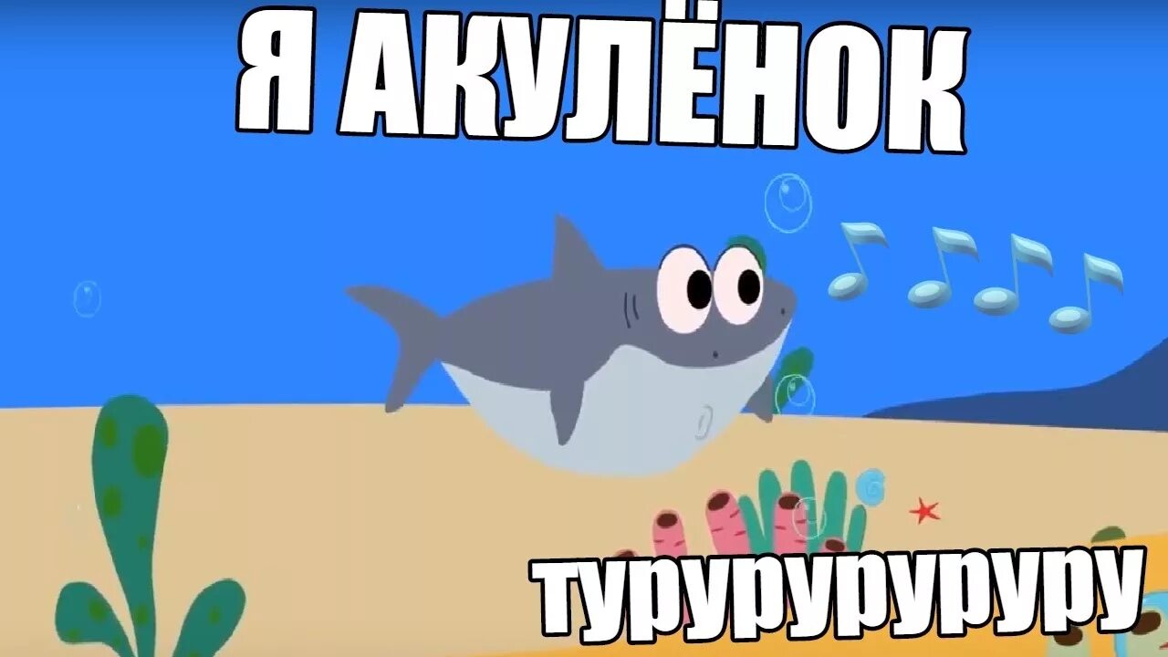 Туту туруру туту туруру. Акулëнок туруру. Акуленок я туруруру. Акулёнок я. Акула туруру.