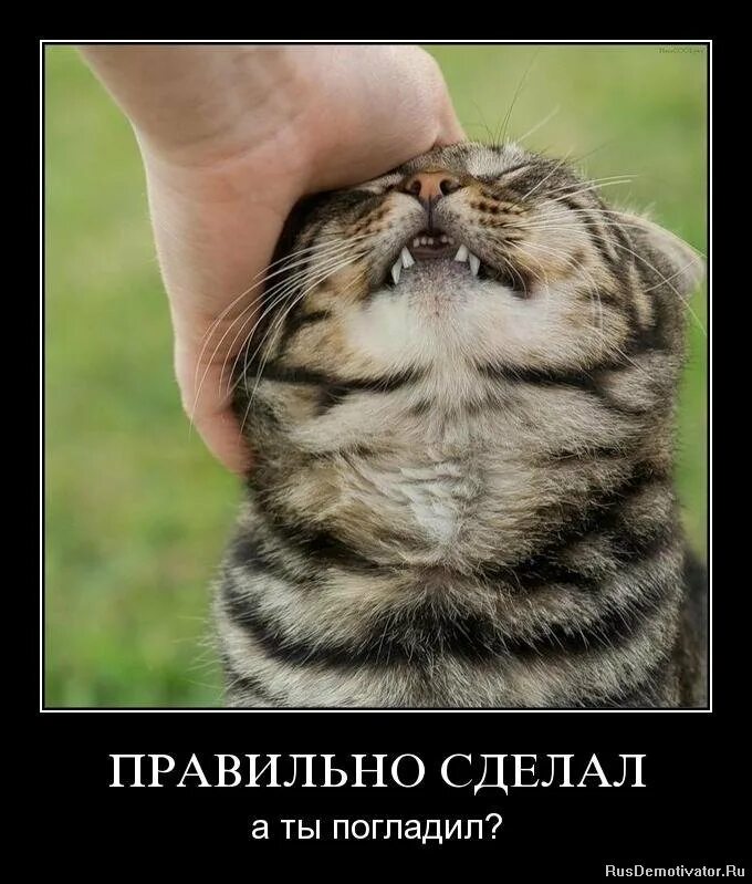 Не доволен как правильно