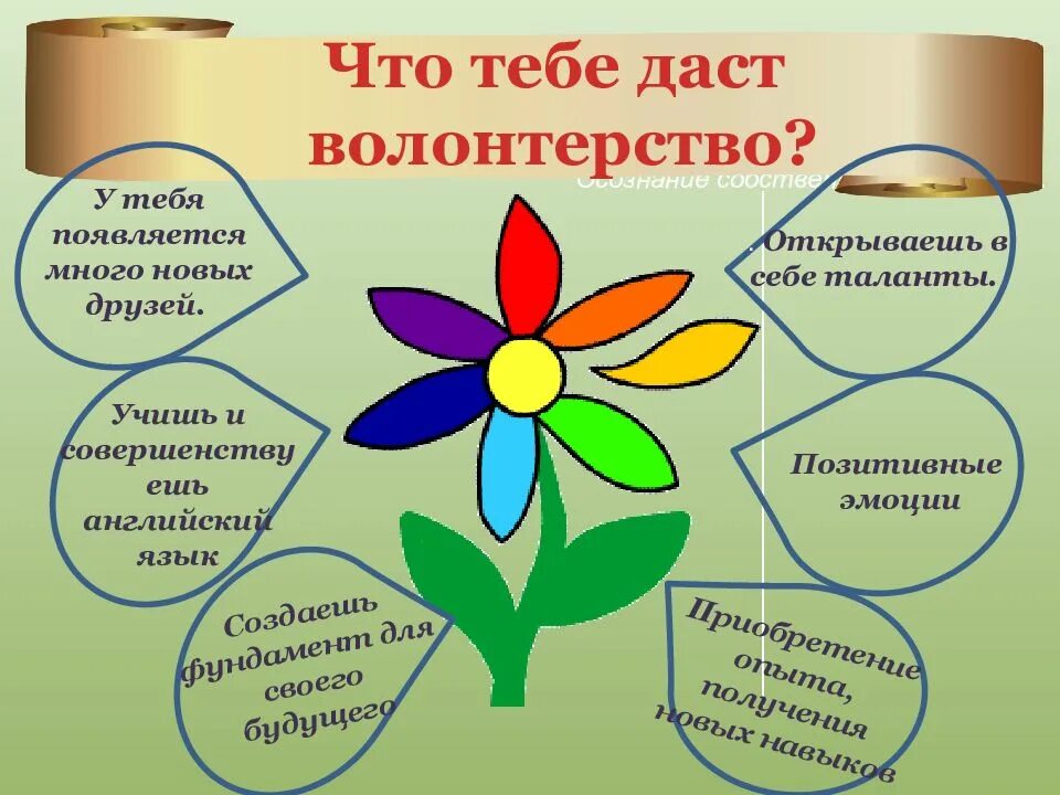 Почему важно быть волонтером