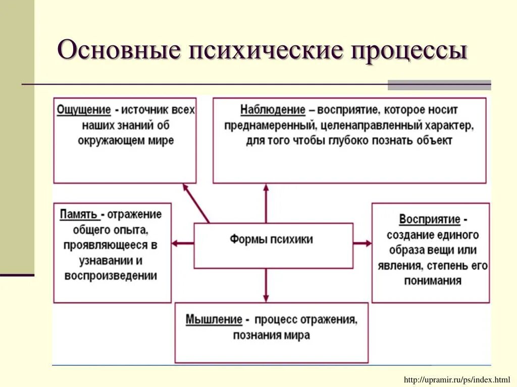 Сколько людей в процессе