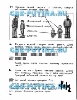 Окружающий мир 1 класс готовые задания