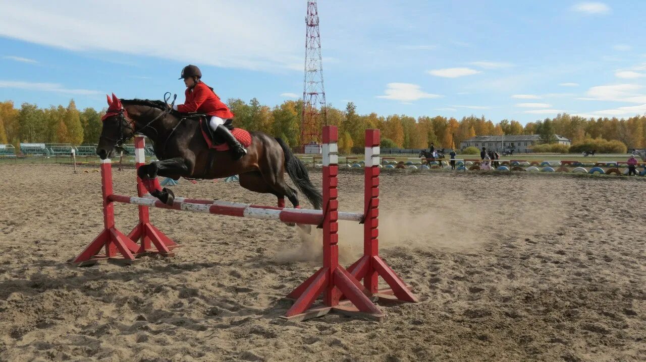Кск мустанг мегион. Кск мустанг мегион. Конюшня советский хмао. Кск югорск. Кск аллюр.