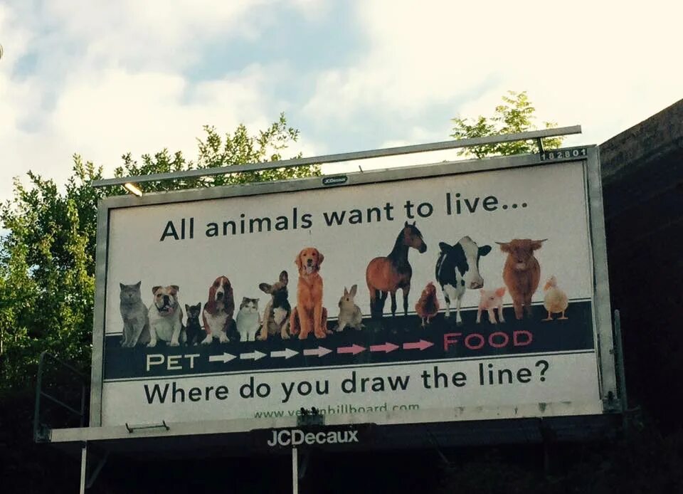 Where do you live на русском. Wanted animals. where do animals live. where do you live. билборд вегетарианцы cross the line мем.