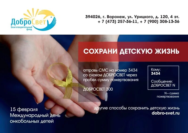 Благотворительные организации в современной россии. Благотворительность в воронеже мини сообщение. Сообщение о современной благотворительности. ". Информация о благотворительности в россии.