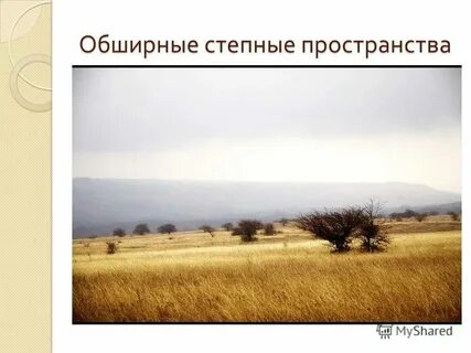 Дальше идут степные места удивительный вид открывается