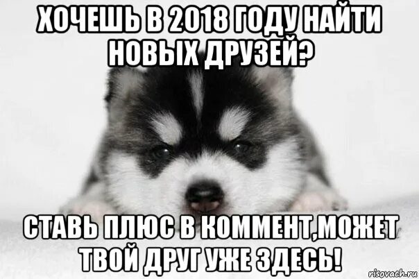 скинь русский. скинь русский. скинь русский. мем негр че. мемы че задали.