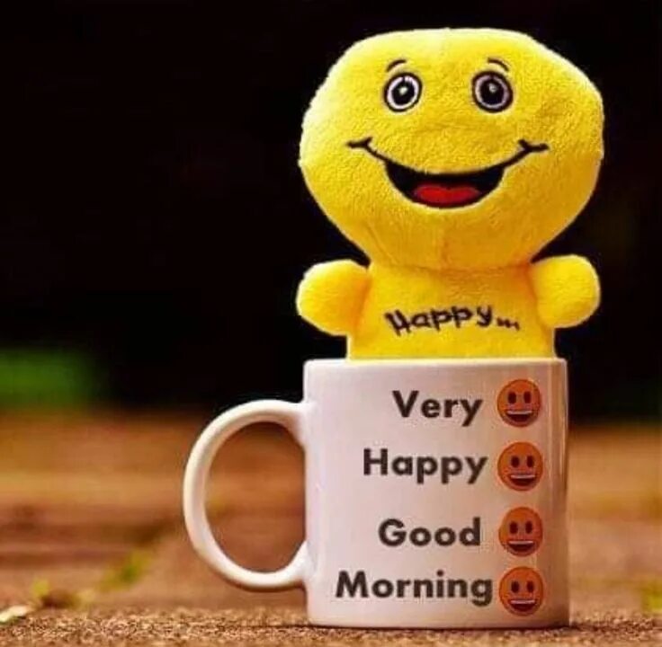 Hello this is good. Good morning веселые картинки. good morning картинки прикольные смешные. good morning (доброе утро!). доброе утро картинки веселые.