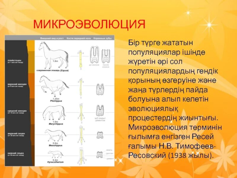 Мутация в микроэволюции