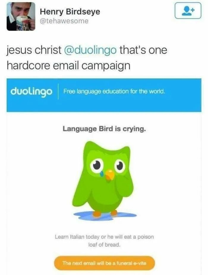 Как поставить свою аватарку в дуолинго. Duolingo мем. шутки про duolingo. совенок дуолинго. мемы с птичкой duolingo.
