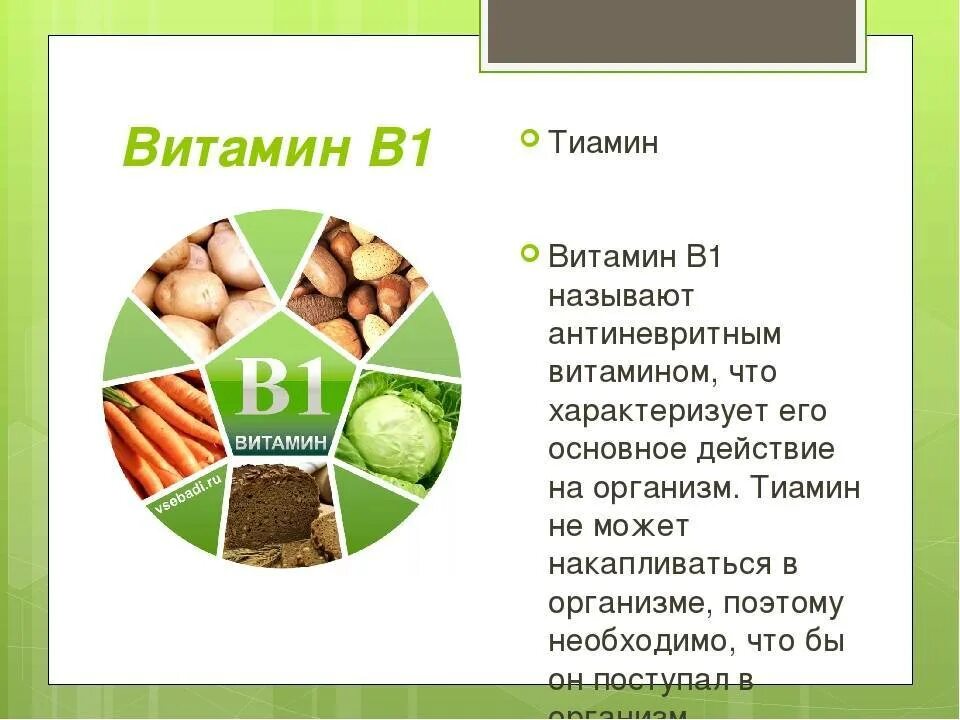 Для чего нужен b6. Витамин б1 тиамин содержится. Источник витамина б 1 тиамин. Продукт являющийся источником витамина в1. Источник поступления витамина b1.