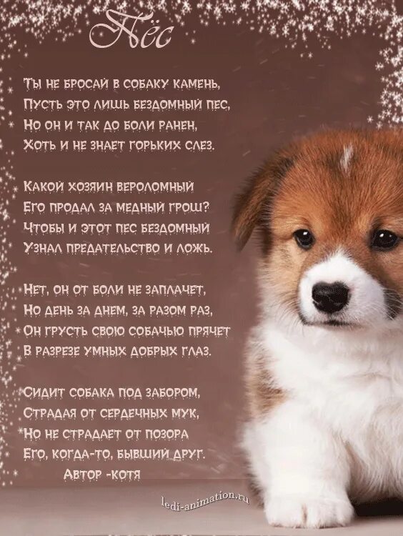 Собака в строчке. Стих про собаку. Фразы про собак. Стих про собаку для малышей. Загадка про собаку.