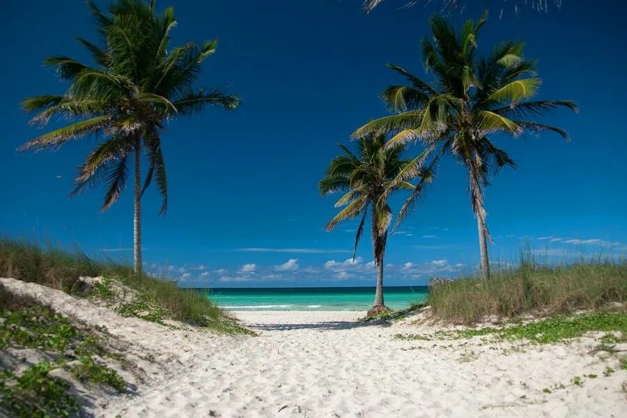 Куба туризм 2022. Гуанабо Куба. Куба пляж. Современная Куба. Когда лучше отдыхать на кубе по месяцам