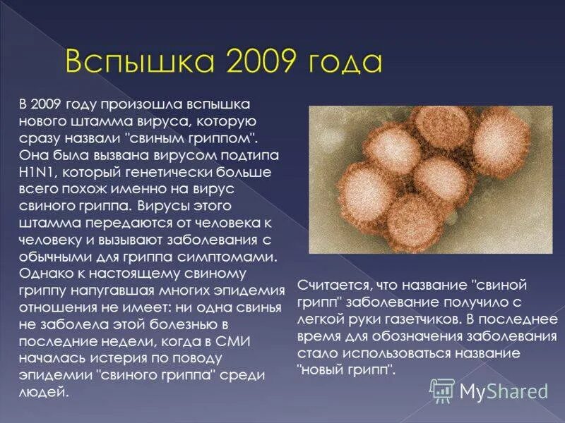 Новая болезнь. Вирус гриппа а (h1n1) симптомы. Штамм вируса гриппа h1n1. Свиной грипп возбудитель. Свиной грипп презентация.